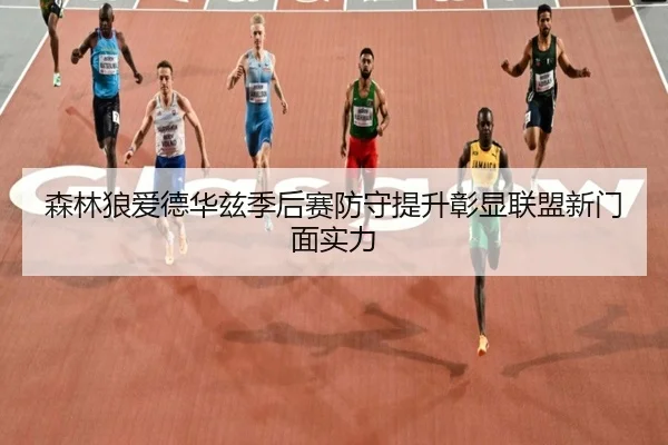 森林狼爱德华兹季后赛防守提升彰显联盟新门面实力