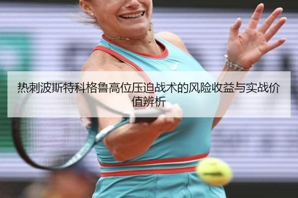 re-ci-bo-si-te-ke-ge-lu-gao-wei-ya-po-zhan-shu-de-feng-xian-shou-yi-yu-shi-zhan-jia-zhi-bian-xi-2-295.jpg
